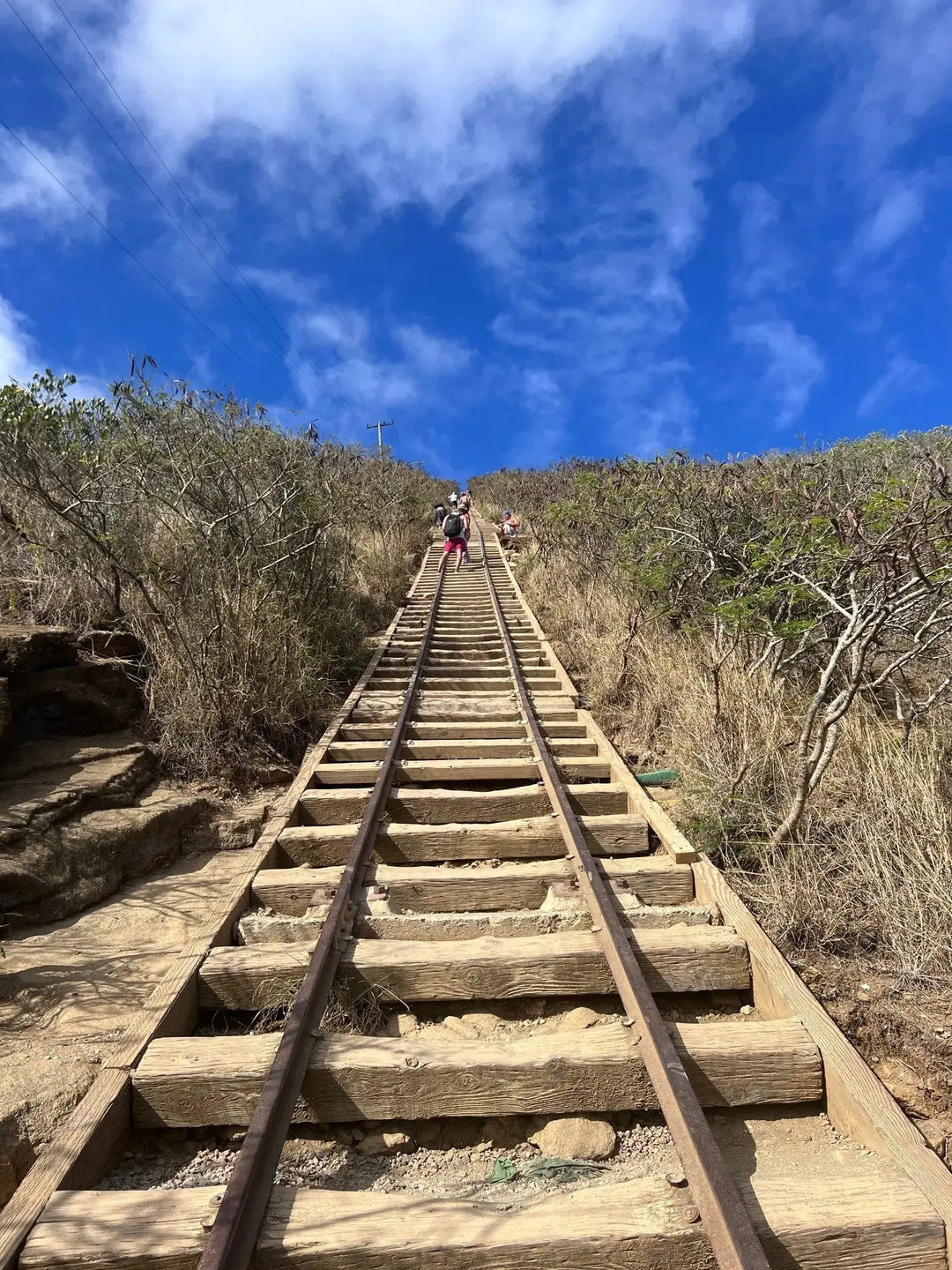 Hawaii's Ultimate Stairmaster: Conquering the Koko Head Stairs Hike - Lavahut