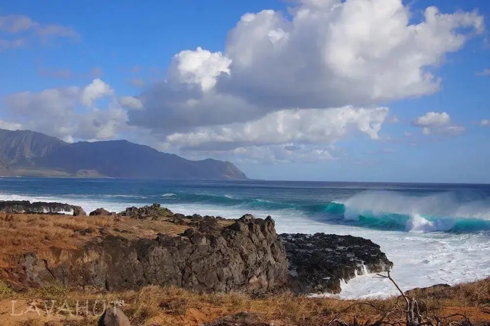 Ka'ena Point, the most western tip of Oahu - Lavahut