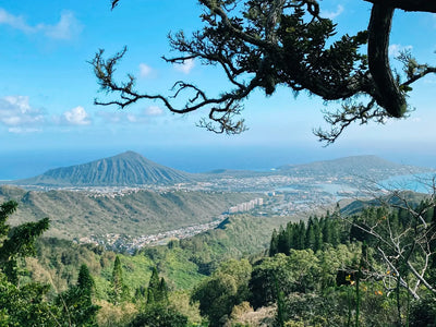 Scaling the Heights: Exploring Oahu's Kuli'ou'ou Hike