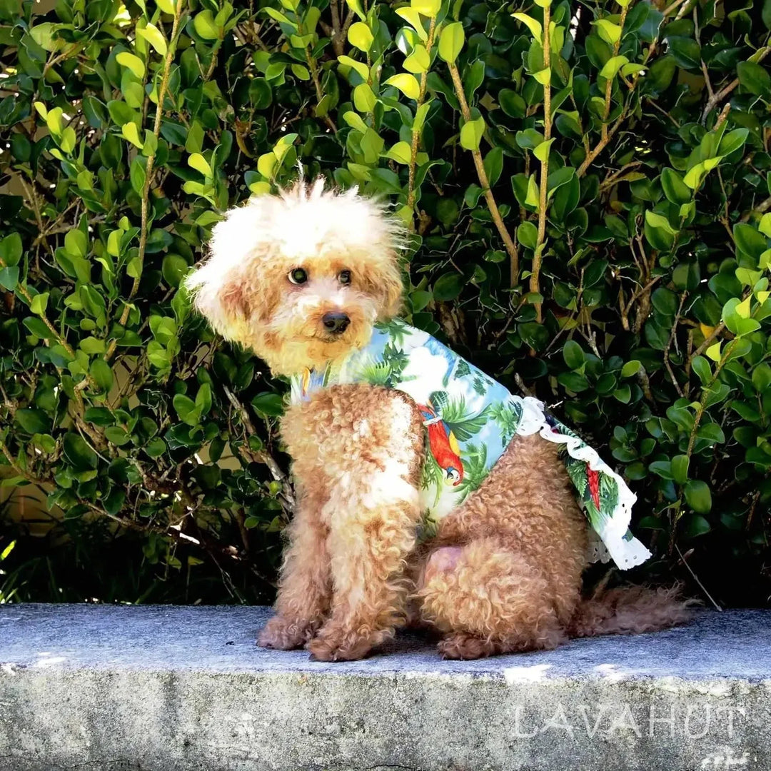 Doggie Clothing Sale - Lavahut