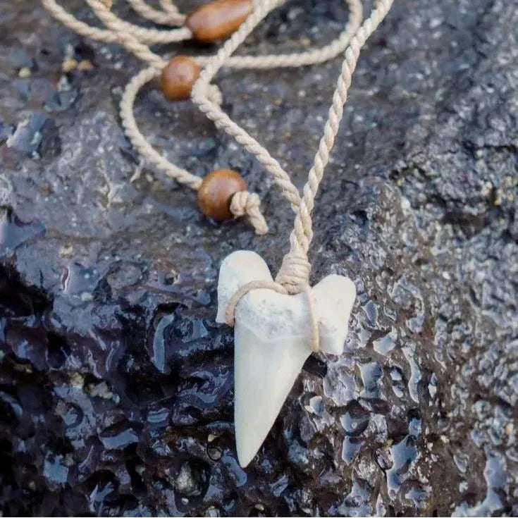 Paia Fossil Shark Tooth Necklace with Wooden Beads – Lavahut