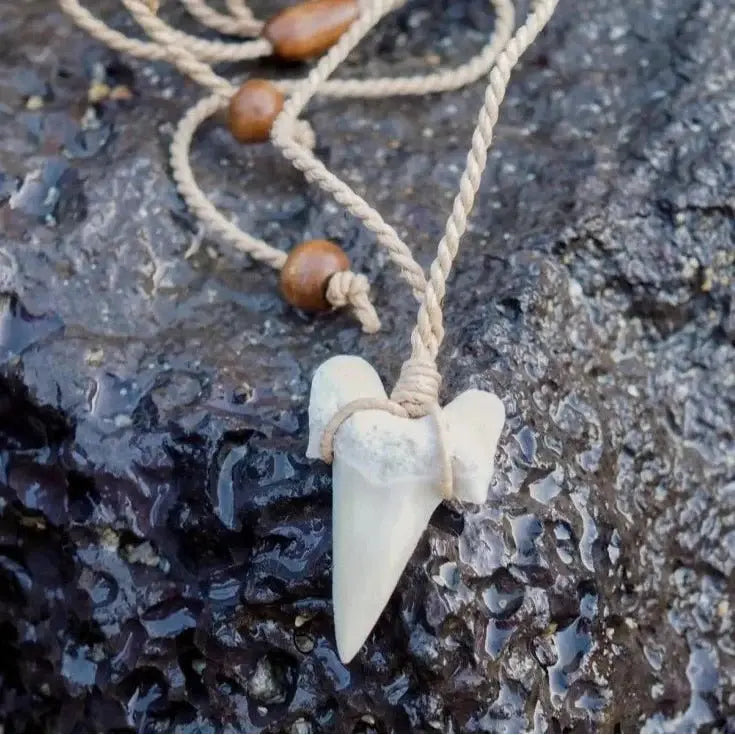 Pa’ia Fossil Shark Tooth Necklace - Made in Hawaii