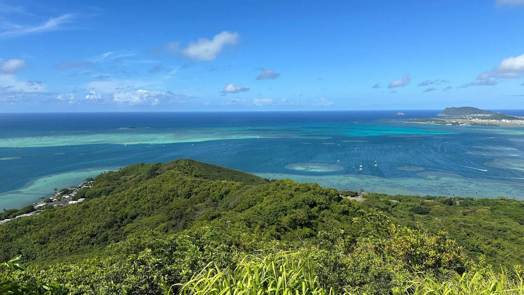 Digging Hill in Kaneohe Bay - Lavahut