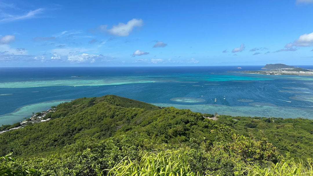 Digging Hill in Kaneohe Bay