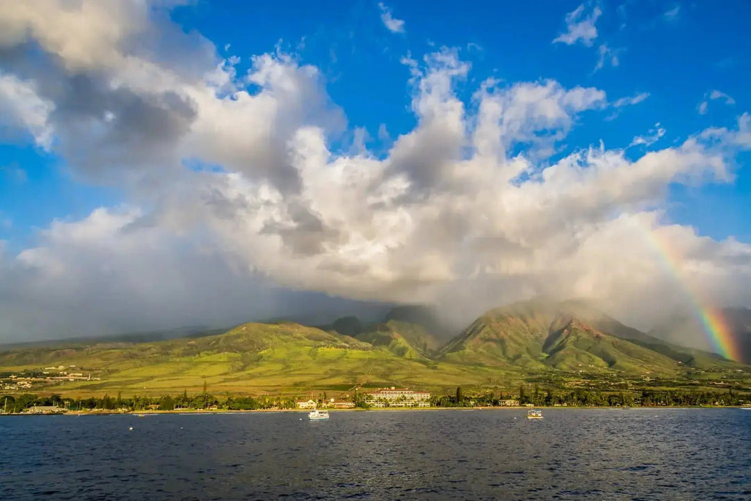 Echoes of Lahaina: Commemorating a Coastal Gem Through Imagery - Lavahut