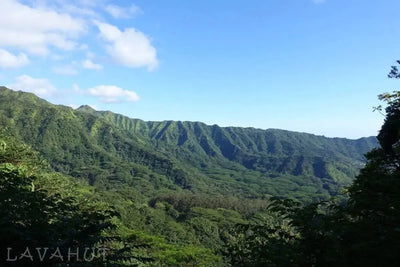 Exploring Paradise: Manoa Falls Hike in Honolulu, Oahu