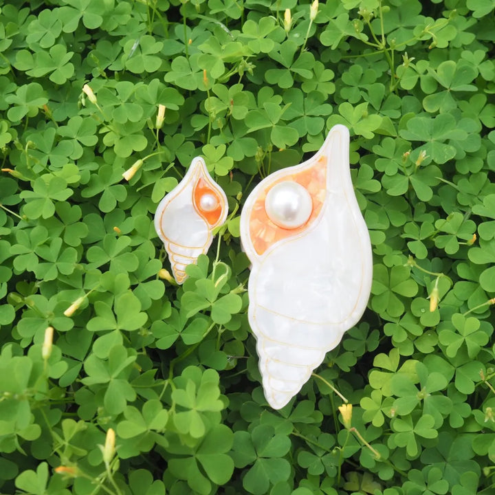 Banded Tulip Seashell Hair Claw - Made in Hawaii