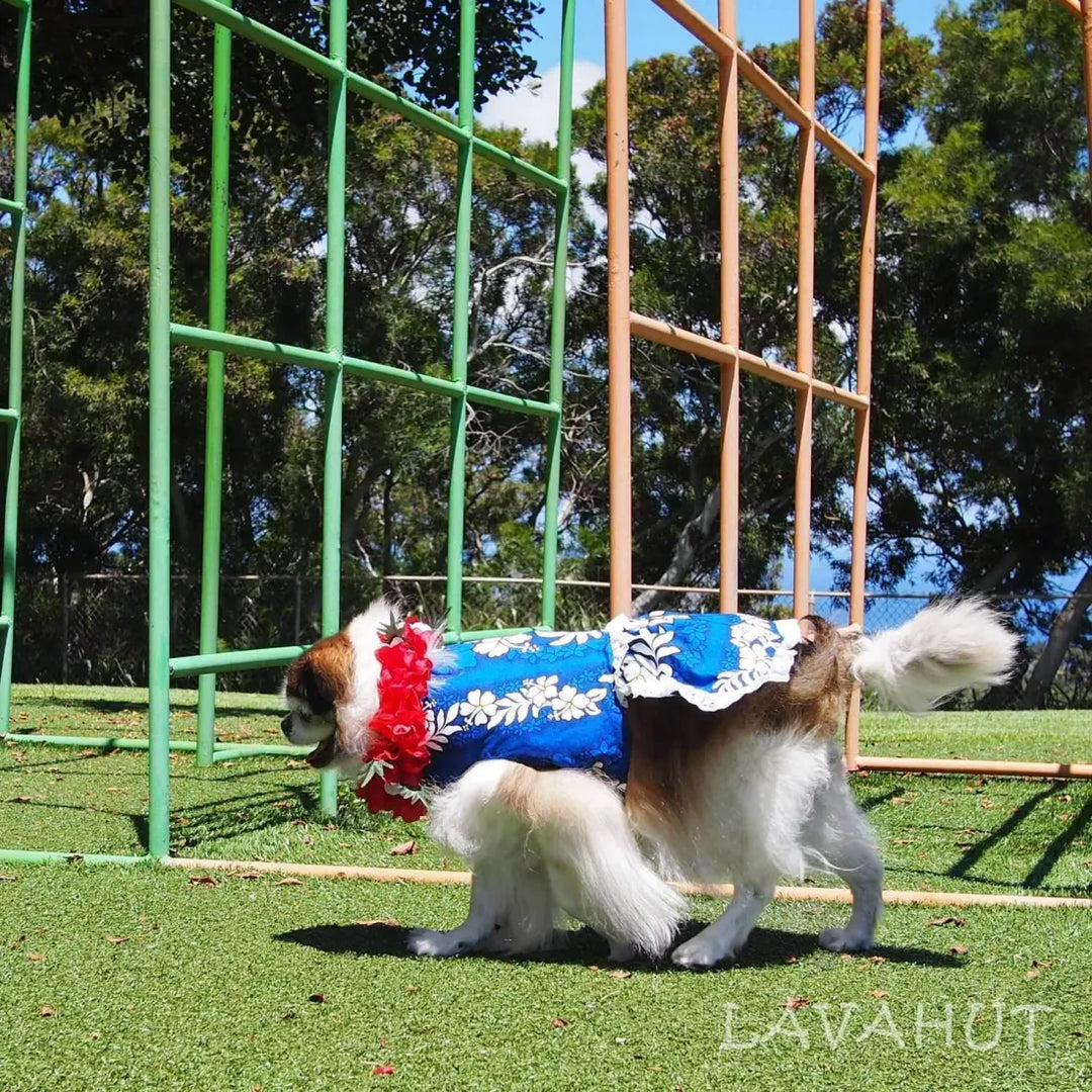 Electric Blue Hawaiian Dog Dress - Made in Hawaii