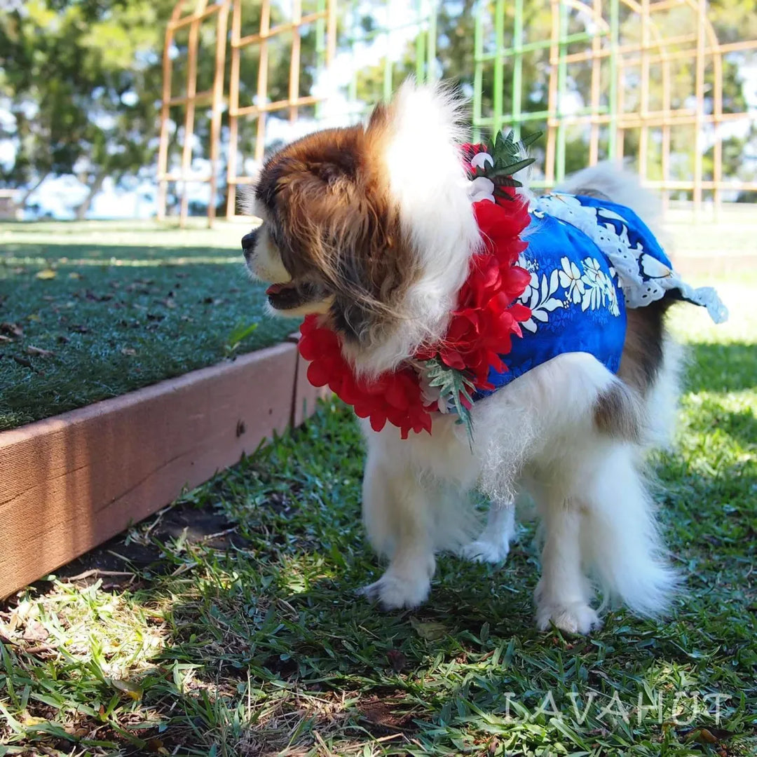 Electric Blue Hawaiian Dog Dress - Made in Hawaii