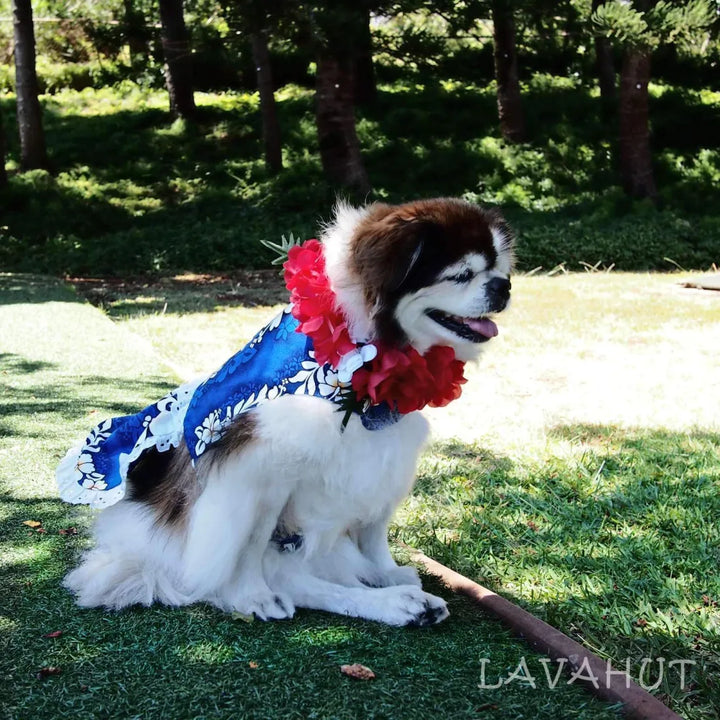 Electric Blue Hawaiian Dog Dress - Made in Hawaii