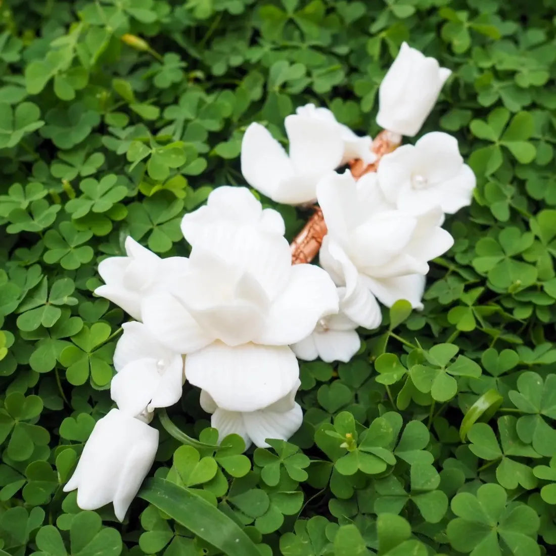 Flower Whisper Porcelain Hair Clip - Made In Hawaii