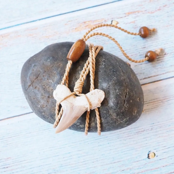 Pa’ia Fossil Shark Tooth Necklace - Made in Hawaii