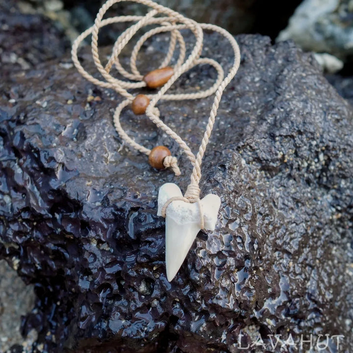 Pa’ia Fossil Shark Tooth Necklace - Made in Hawaii