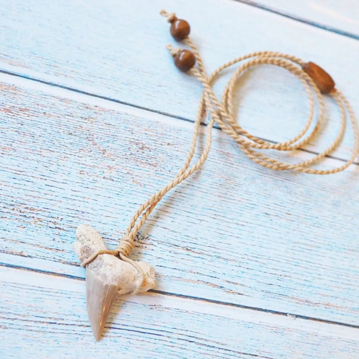 Pa’ia Fossil Shark Tooth Necklace - Made in Hawaii