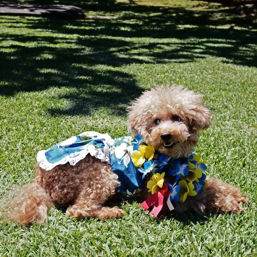 Ginger Blue Hawaiian Dog Dress - Made in Hawaii