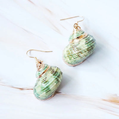 Green Turbo Seashell Drop Earrings - Made In Hawaii
