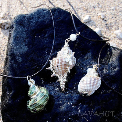 Green Turbo Seashell Pendant / Cord Necklace - Made In Hawaii