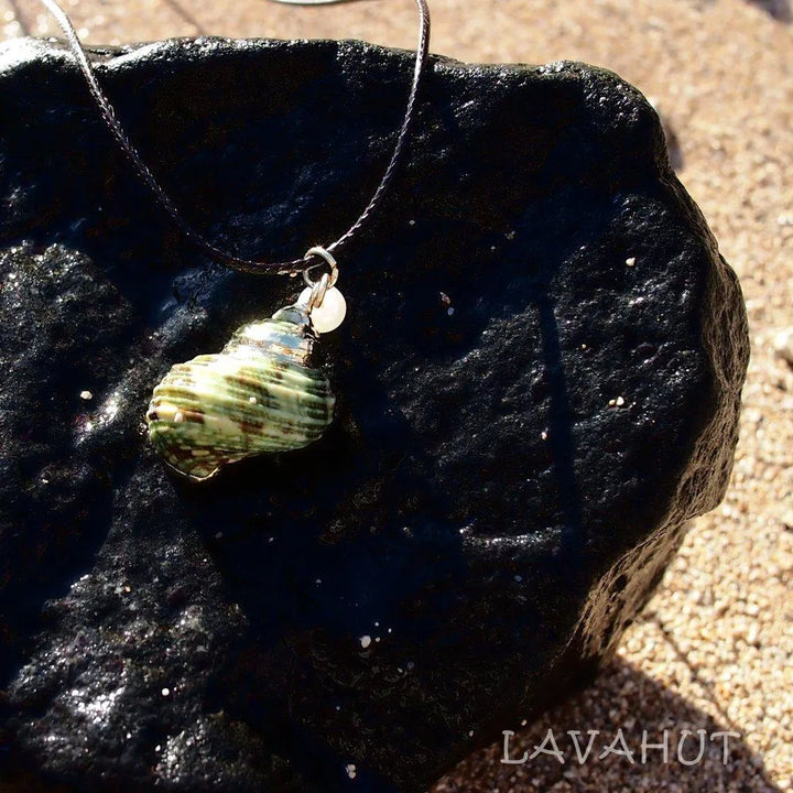 Green Turbo Seashell Pendant / Cord Necklace - Made in Hawaii