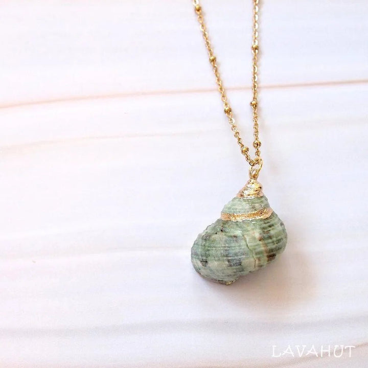 Green Turbo Seashell Pendant w/ Gold Necklace – Authentic Hawaiian Necklaces by Lavahut