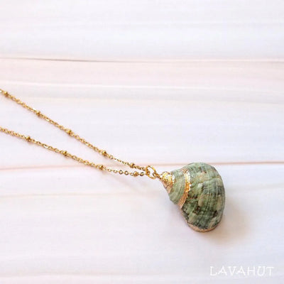 Green Turbo Seashell Pendant W/ Gold Necklace - Made In Hawaii
