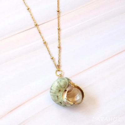 Green Turbo Seashell Pendant W/ Gold Necklace - Made In Hawaii