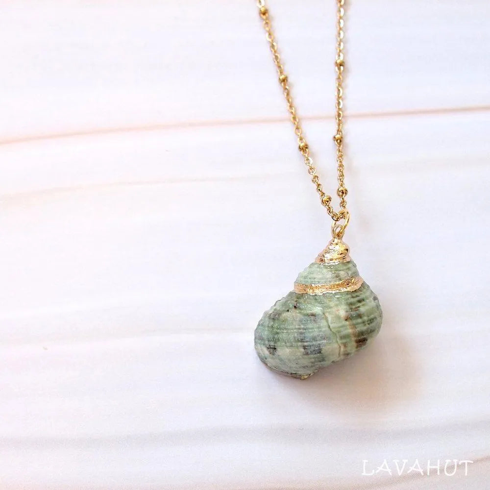 Green Turbo Seashell Pendant W/ Gold Necklace - Made in Hawaii