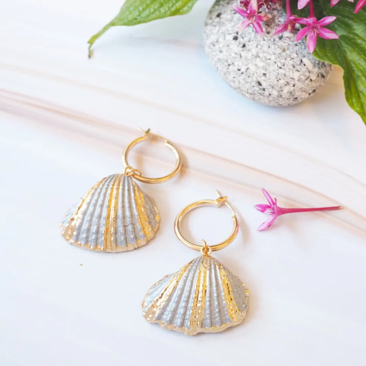 Grey Ark Seashell Hoop Earrings - Made in Hawaii