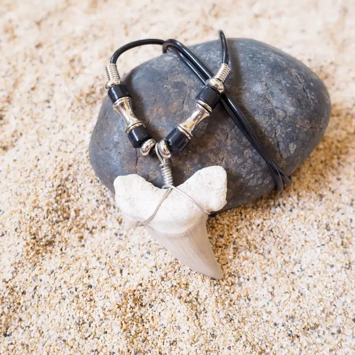 Hale’iwa Fossil Shark Tooth Necklace Made in Hawaii