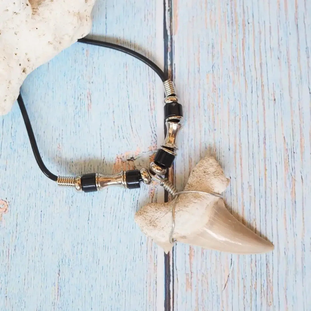 Hale’iwa Fossil Shark Tooth Necklace Made in Hawaii