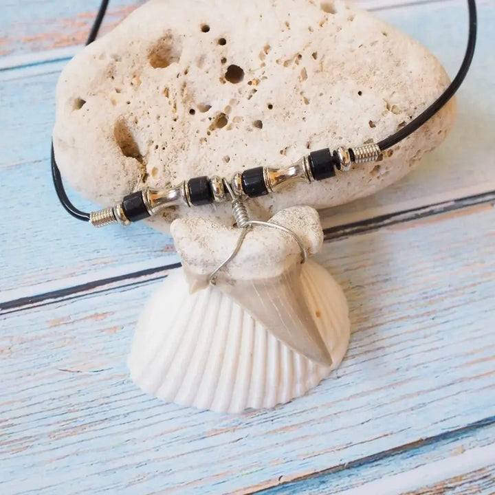 Hale’iwa Fossil Shark Tooth Necklace Made in Hawaii