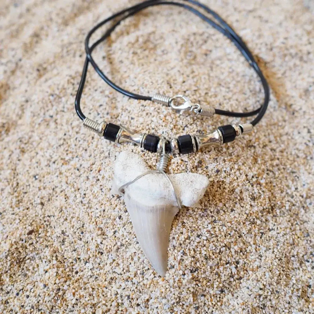 Hale’iwa Fossil Shark Tooth Necklace Made in Hawaii