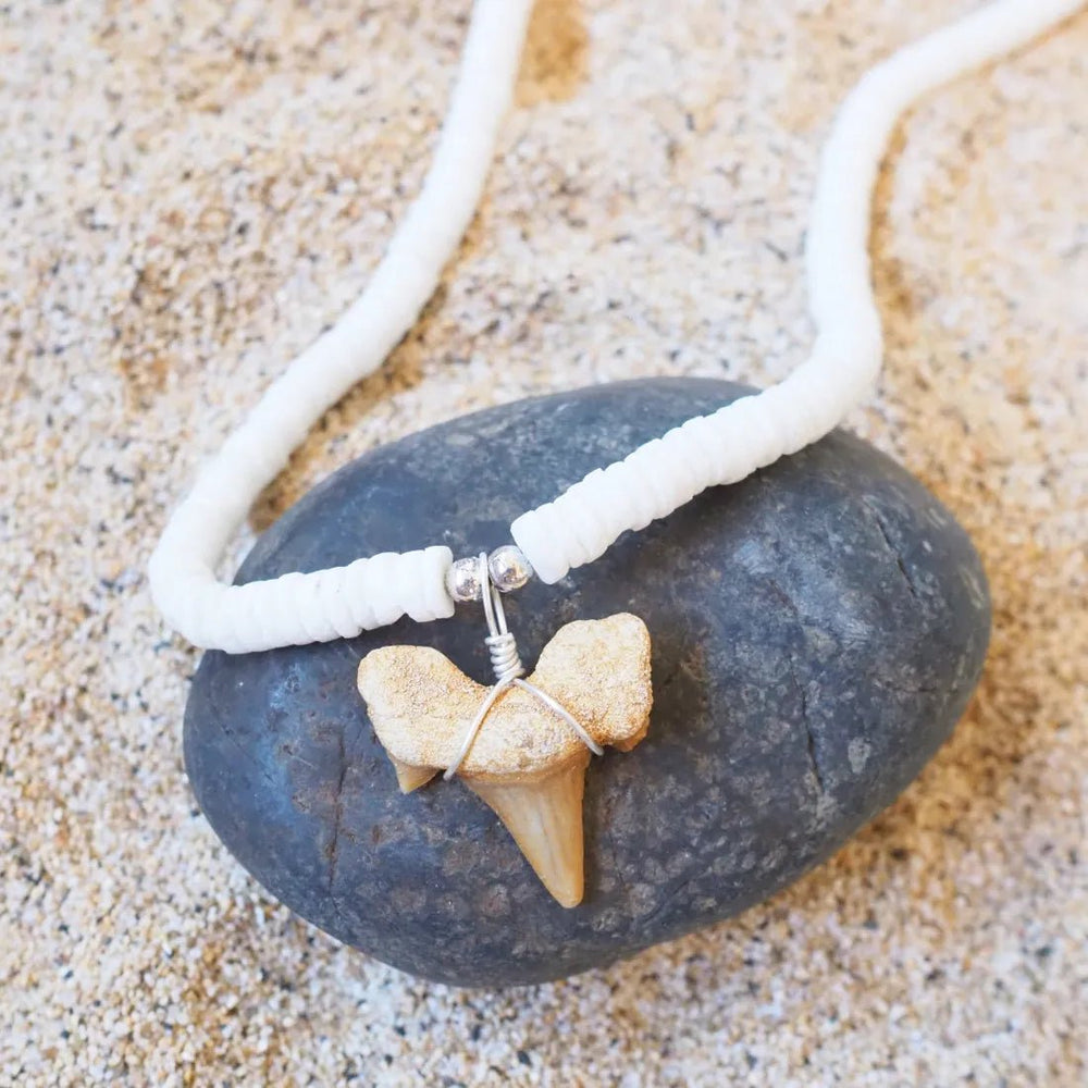 Hanalei Fossil Shark Tooth Necklace – Authentic Hawaiian Necklaces by Lavahut