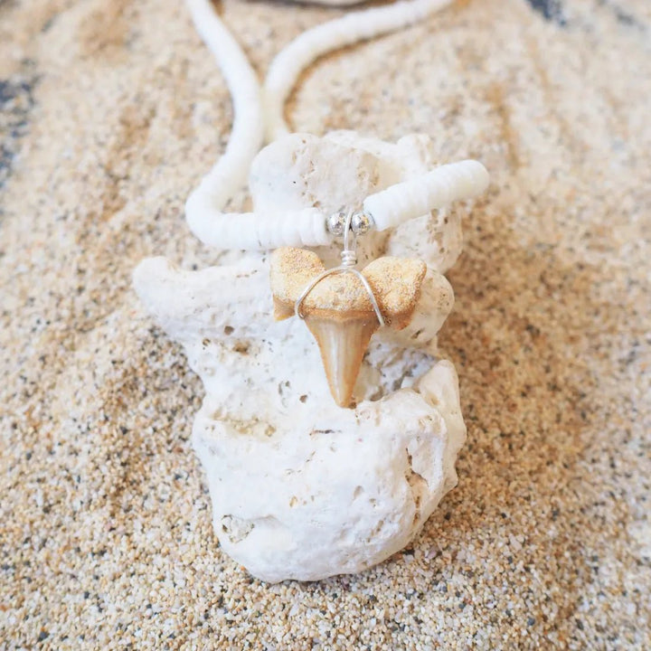 Hanalei Fossil Shark Tooth Necklace – Authentic Hawaiian Necklaces by Lavahut