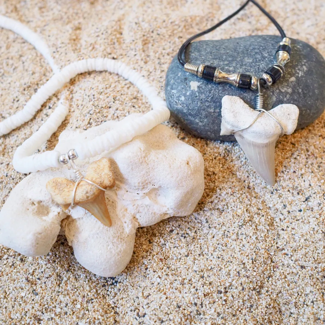 Hanalei Fossil Shark Tooth Necklace - Made in Hawaii