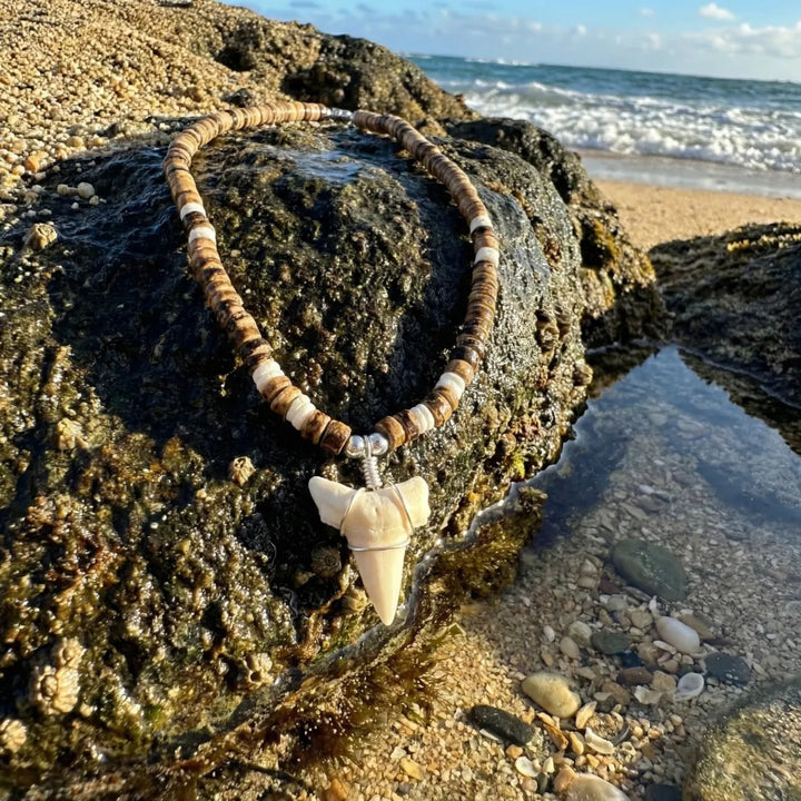Honolua Shark Tooth Necklace - Made in Hawaii