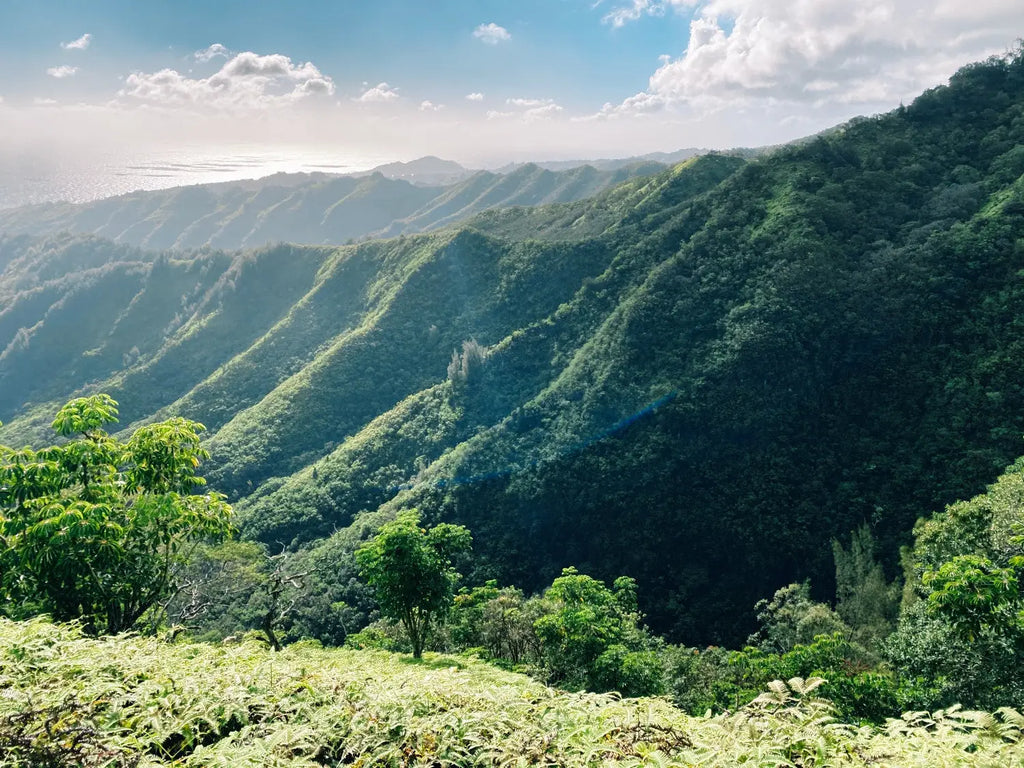 Lavahut - Kuliouou Hike - View of Hawaii Kai