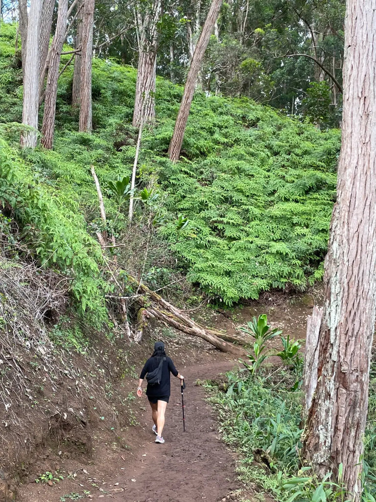 Lavahut - Hiking the Aiea Loop Trail - H3