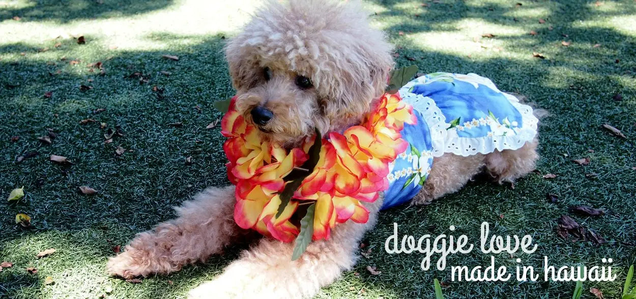 Hawaiian Dog Dress | Lavahut | Made in Hawaii
