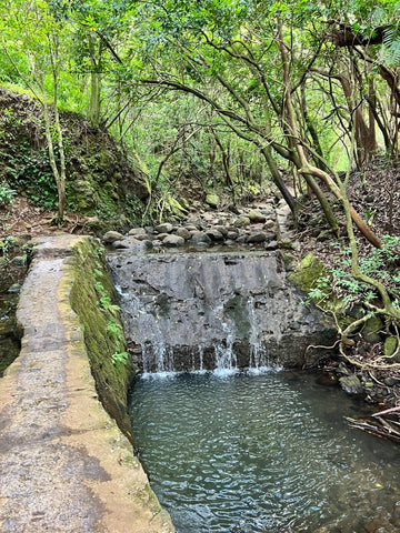 Lavahut Blogs - Lulumahu Hike - Hawaii Outdoors