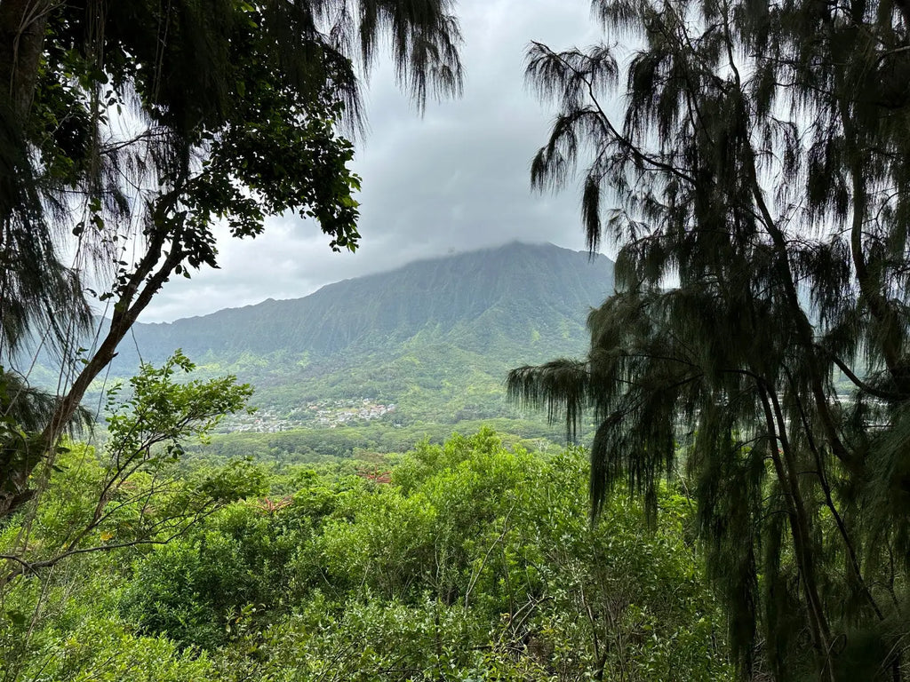 Conquer the Olomana Hiking Adventure: A Thrilling Journey to Oahu's Stunning Peaks (Peak 1)