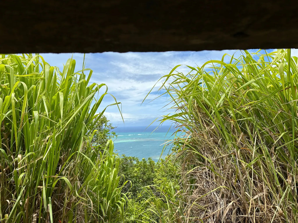 Pu'u Ma'eli'eli trail in Kaneohe