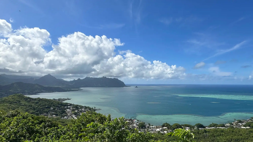 Pu'u Ma'eli'eli trail in Kaneohe