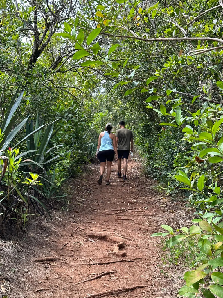 Pu'u Ma'eli'eli trail in Kaneohe