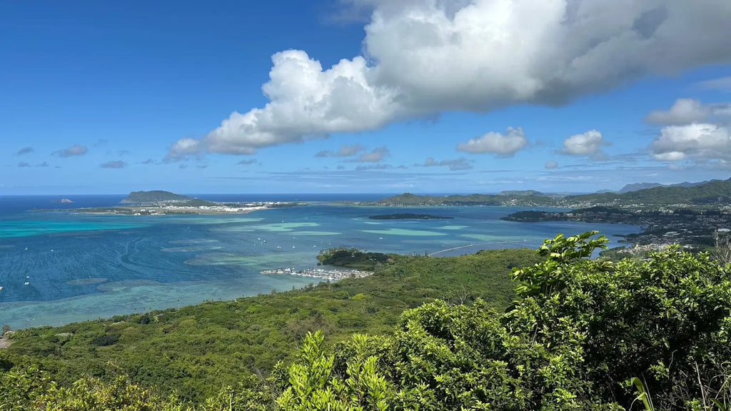 Pu'u Ma'eli'eli trail in Kaneohe