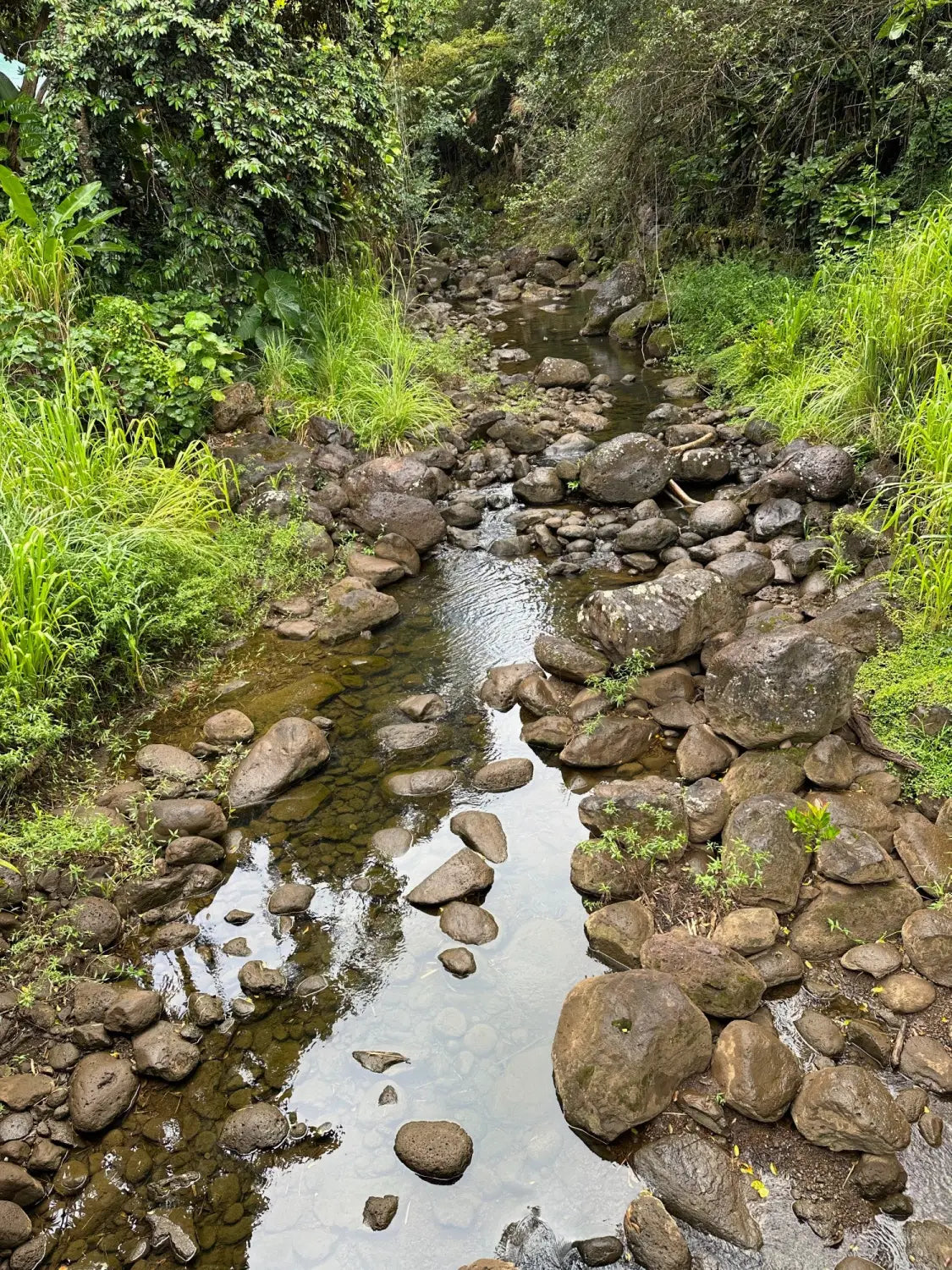 Lavahut Blog - Waimea Valley