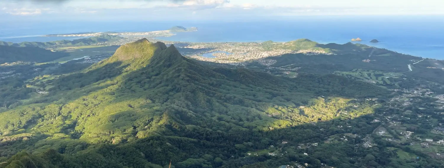 Wiliwilinui Ridge Trail