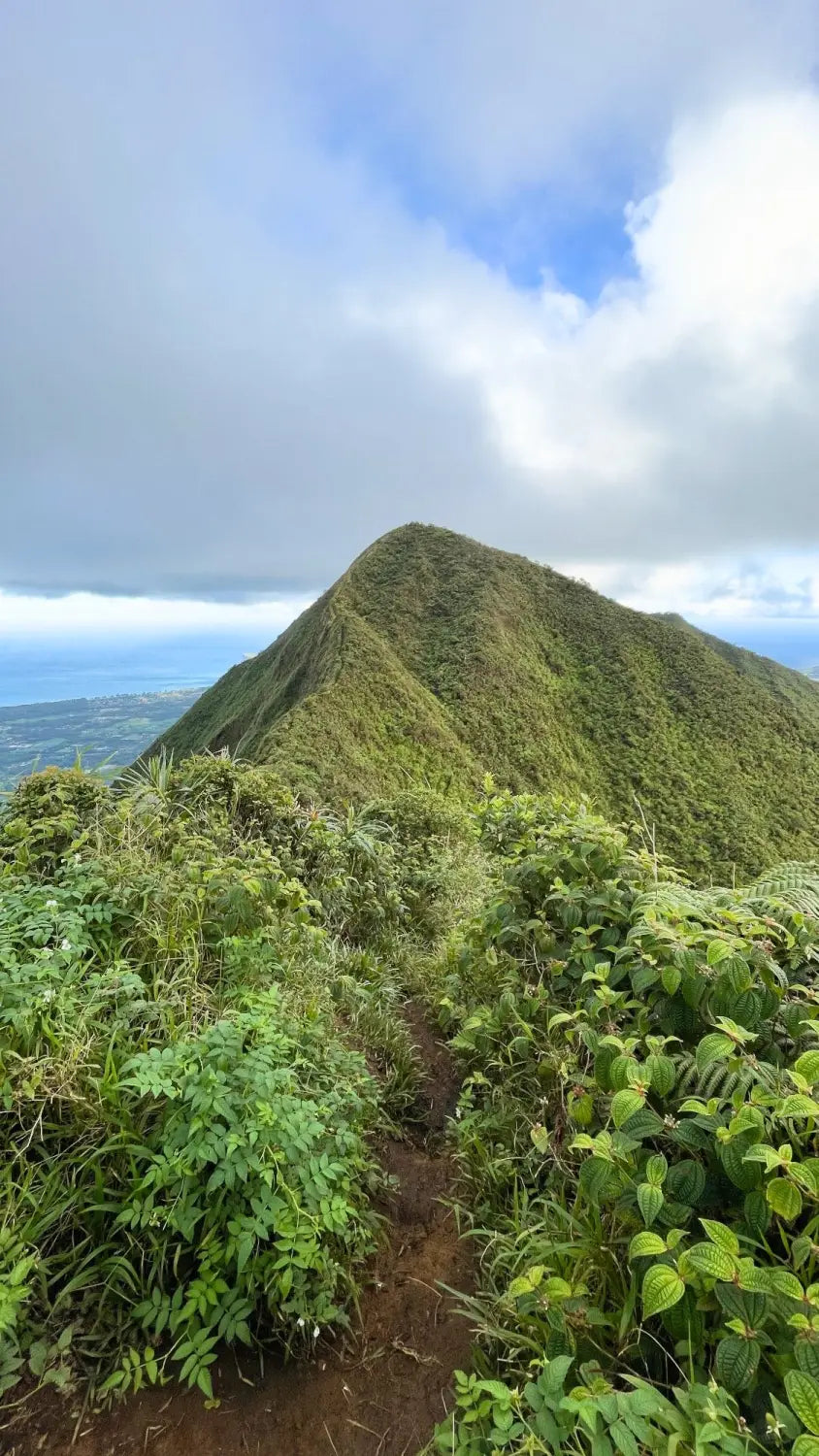 Wiliwilinui Ridge Trail