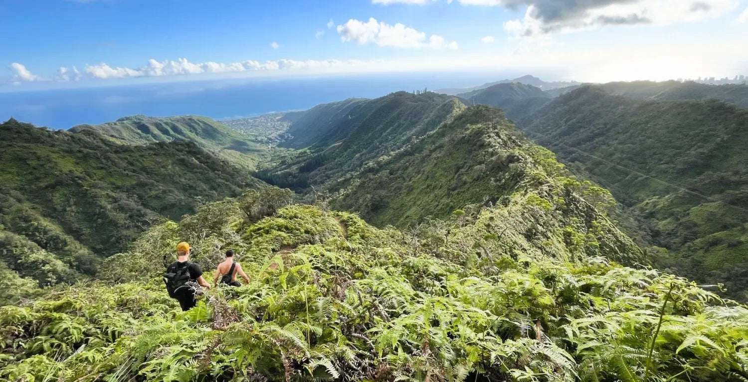 Wiliwilinui Ridge Trail