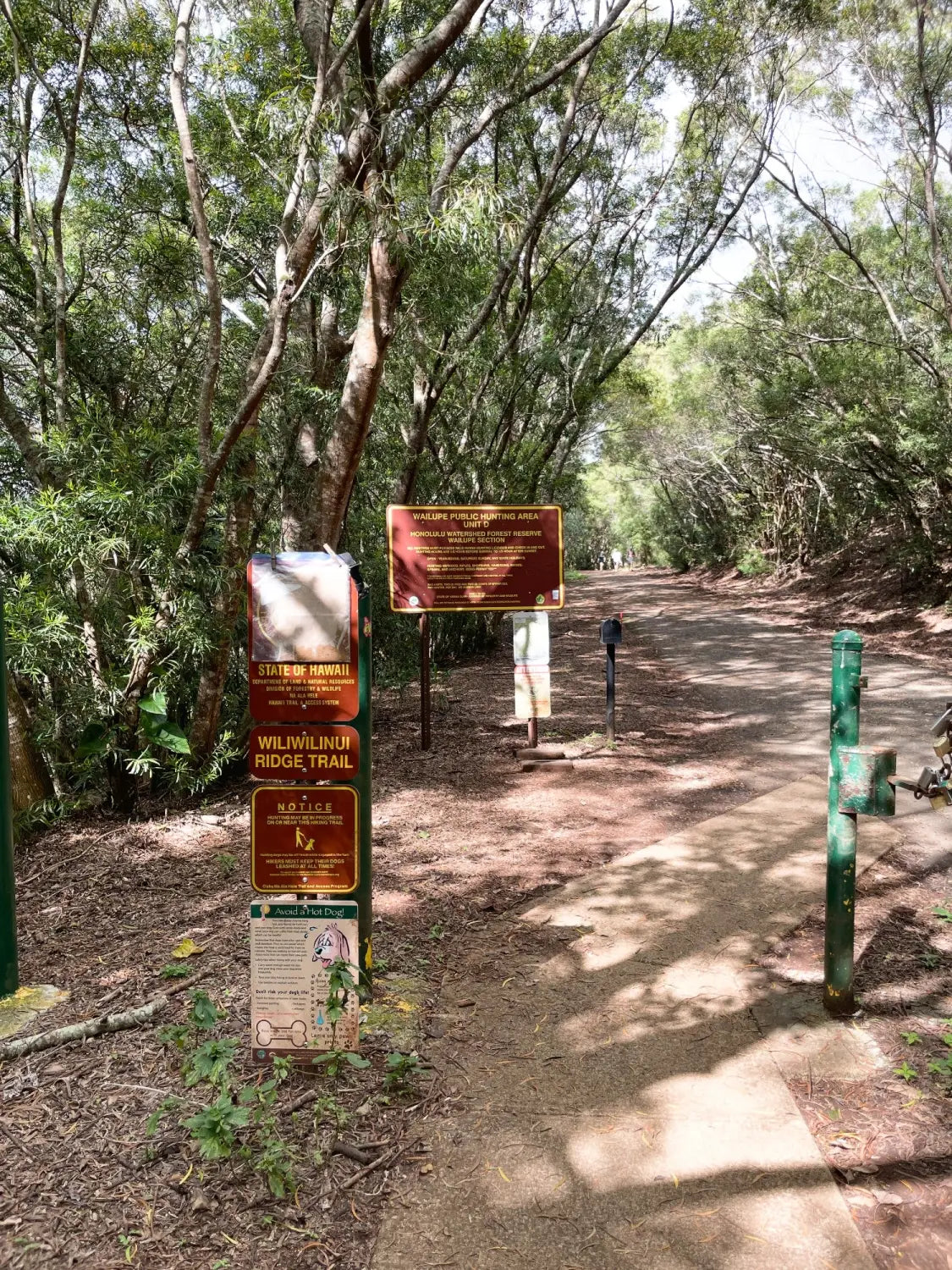 Wiliwilinui Ridge Trail