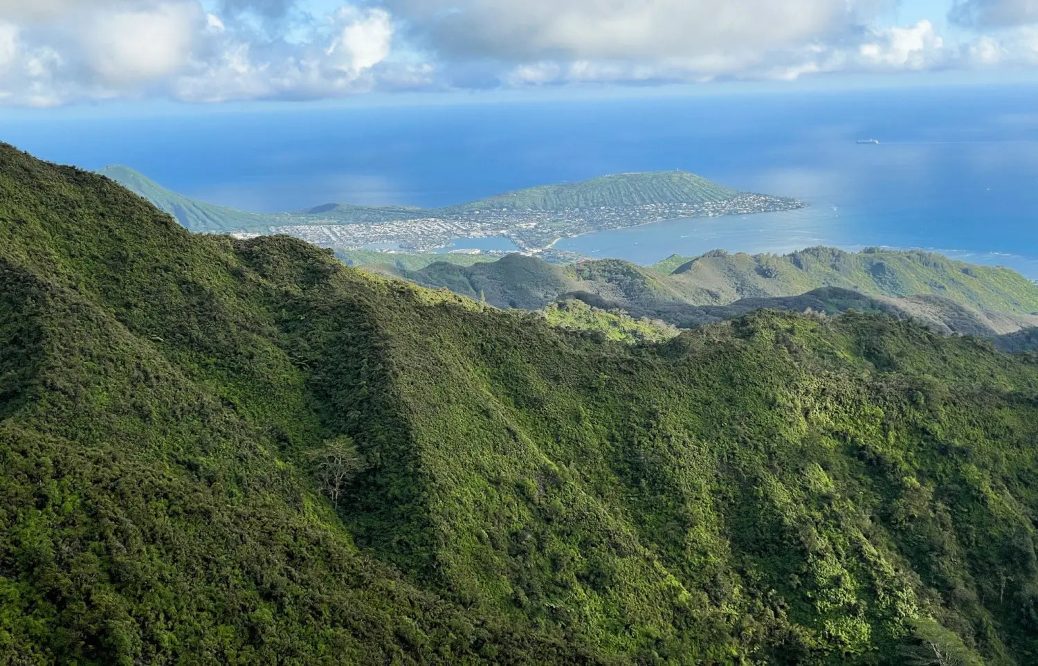 Wiliwilinui Ridge Trail